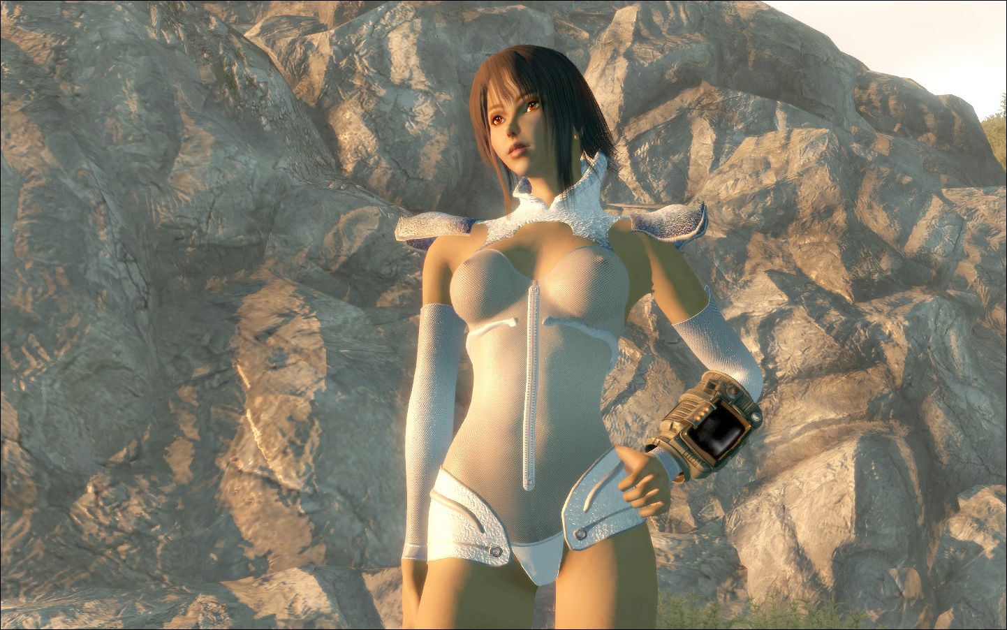 Fallout 3 naked mod