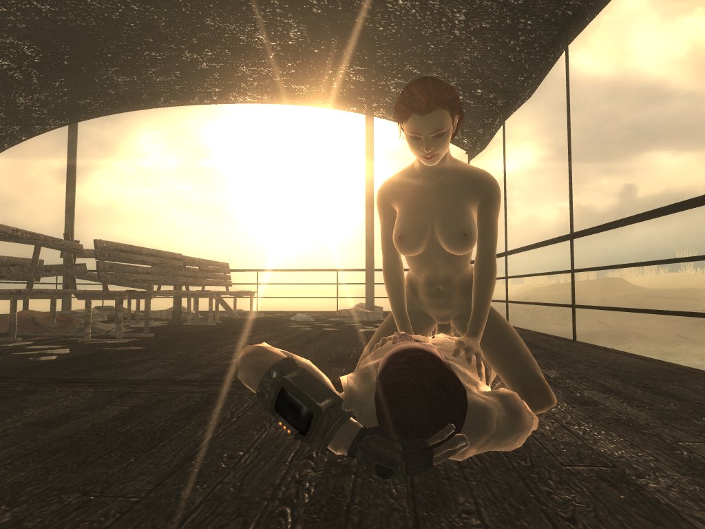 Fallout3 prostitution mod